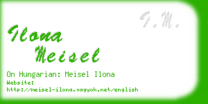 ilona meisel business card